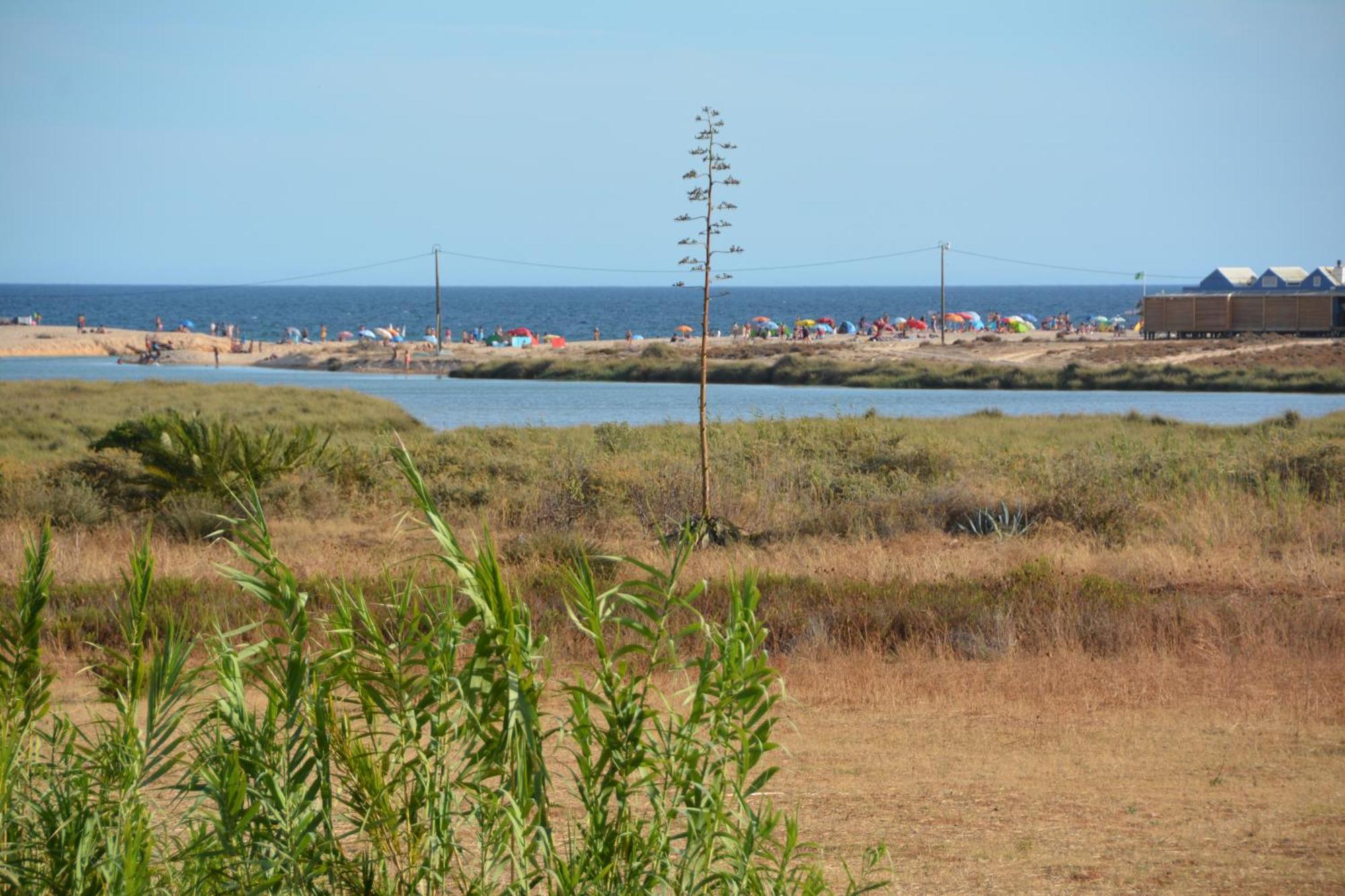 Praia Dria Armação de Pêra Екстериор снимка